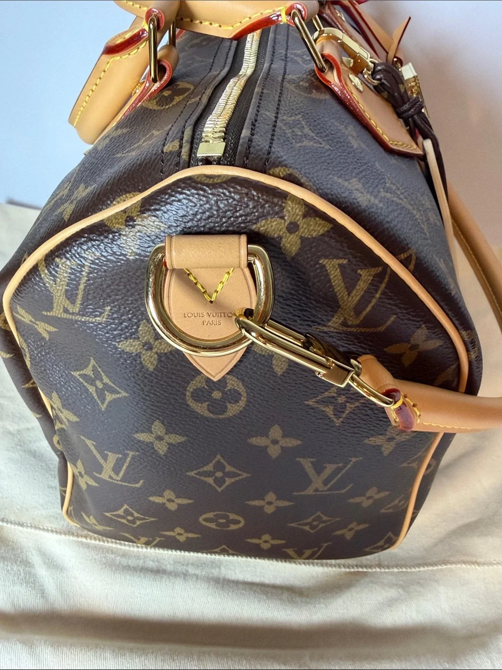Louis Vuitton Speedy 30 Crafty